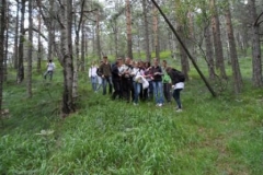 divc (14)